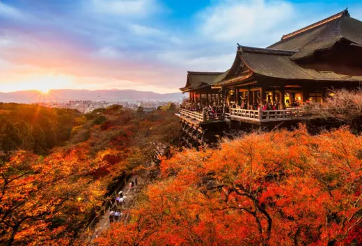 Descubriendo Japon Viajes