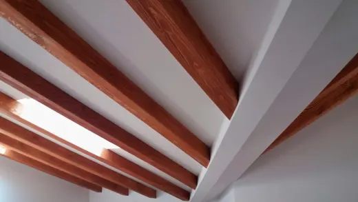 Construsamon