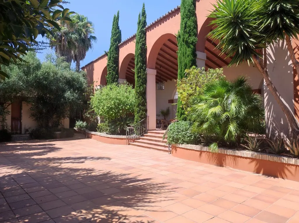 Bodegas Pajarete