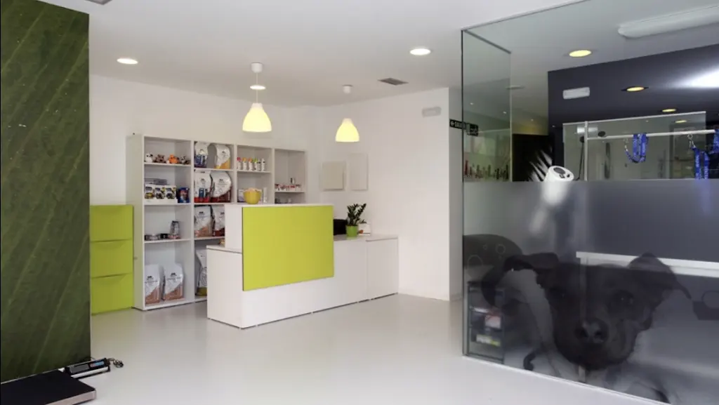 Veterinary Clinic New Artica
