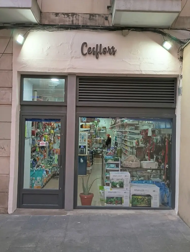 Cesflor's