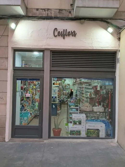 Cesflor's