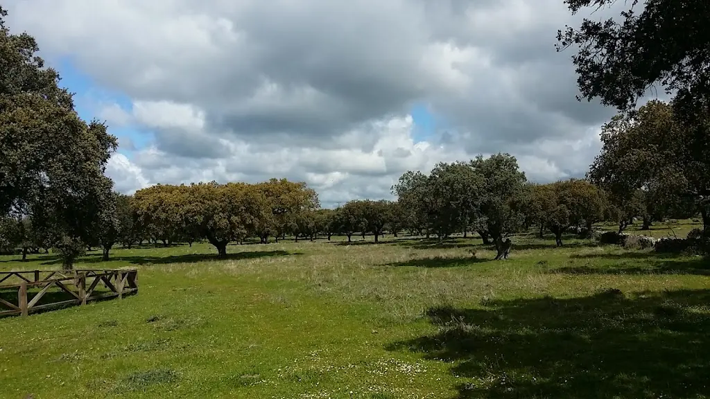 APIRESECO INMOBILIARIA
