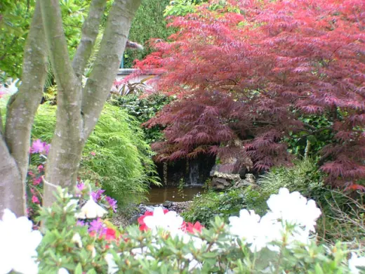 Erlaitz Jardineria