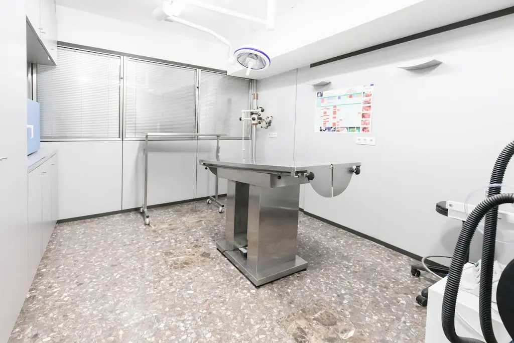 Clinica Veterinaria Els Llops