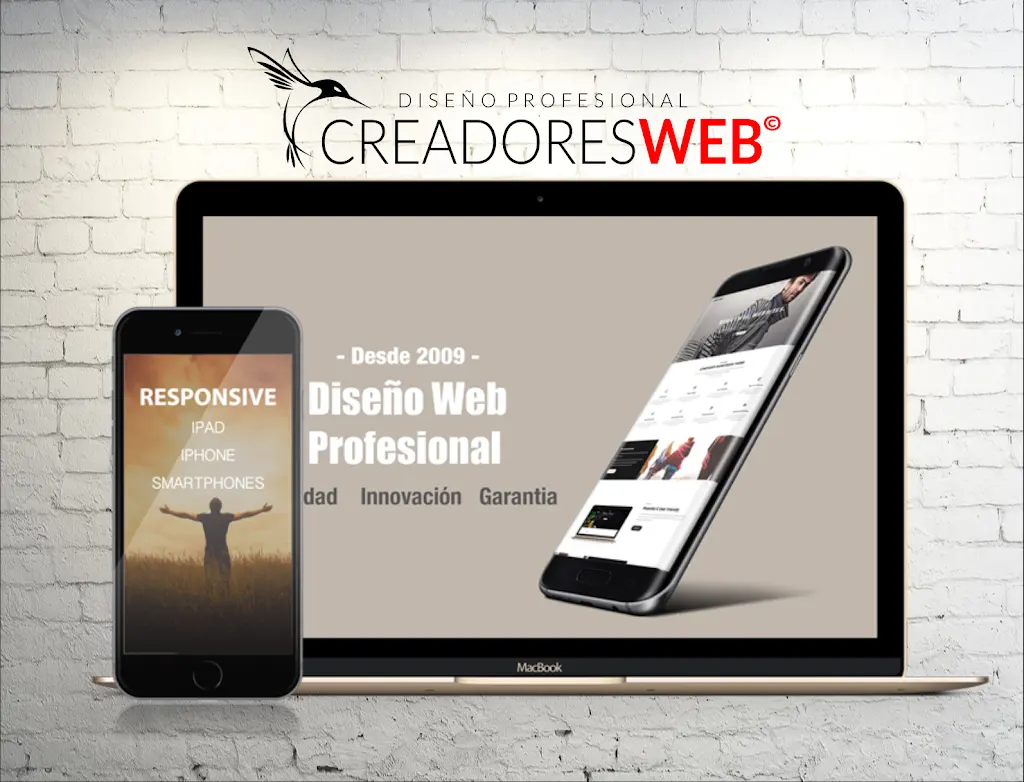 Diseno web, Paginas Web Ciudad Real, Tiendas Online