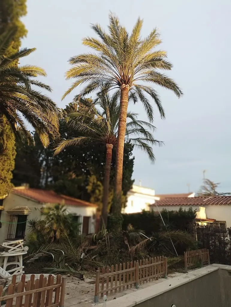 Jardineria La Rosa