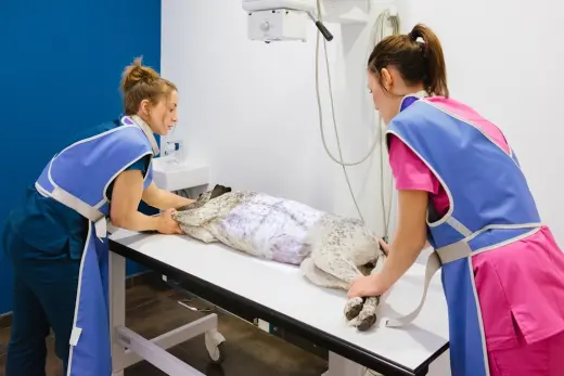 Centro Veterinario Entremaliats en Terrassa