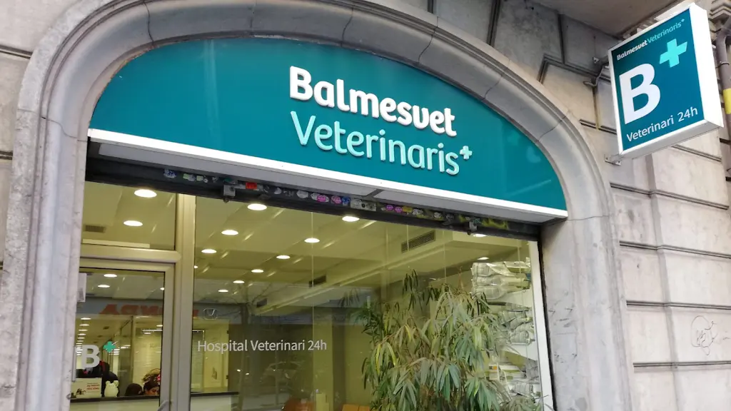 Balmesvet Veterinaris Hospital 24h