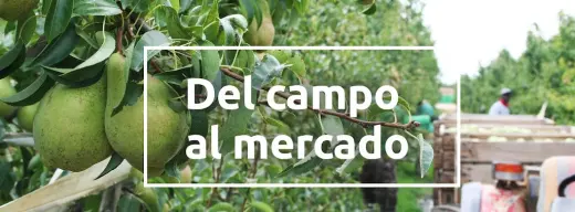 Centro de Servicios Agricolas