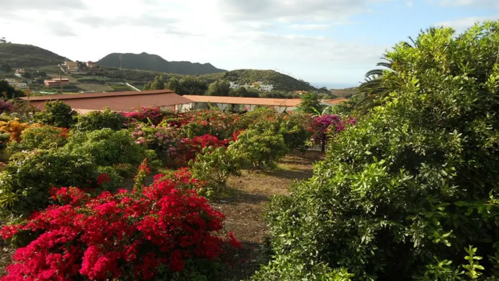 Finca San Ignacio