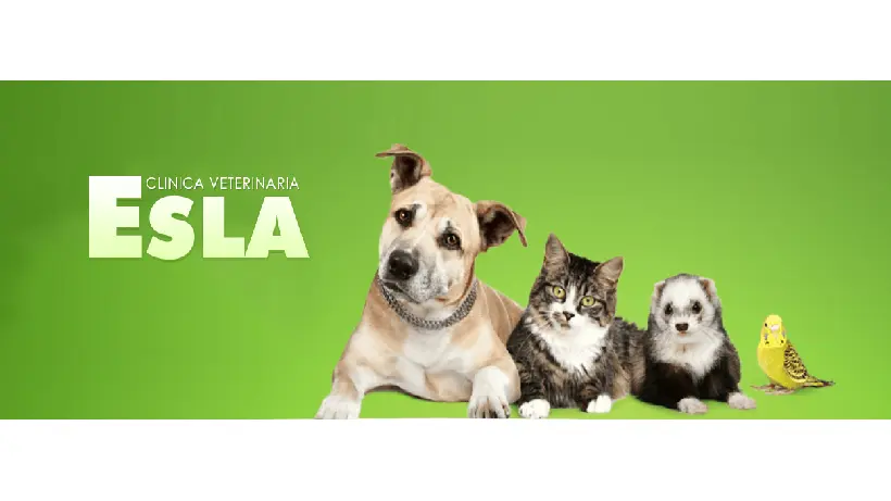 Clinica Veterinaria Esla
