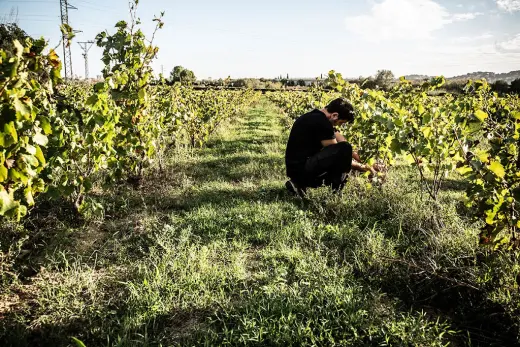 Celler Viniric - Rutes Enoturisme