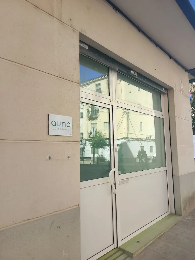 AUNA CONSULTORES