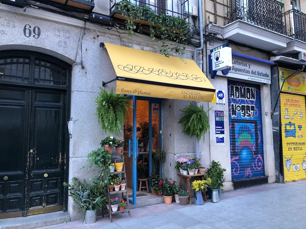Floristeria Jazmines al balcon | flores & plantas