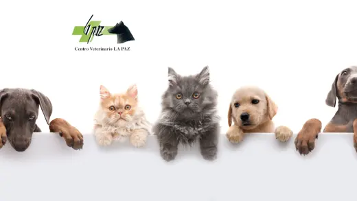 Centro Veterinario La Paz