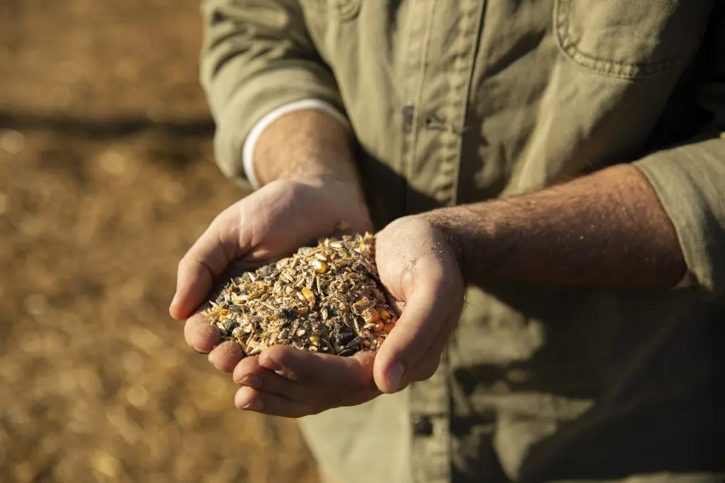 Sieve Jardins | Serveis de jardineria i fitosanitaris Serveis agricoles, forestals i obra publica