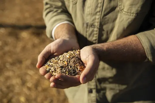 Sieve Jardins | Serveis de jardineria i fitosanitaris Serveis agricoles, forestals i obra publica