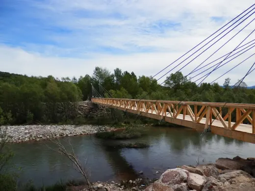 Solutioma
