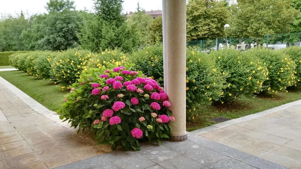 JARDINERIA DEL NORTE