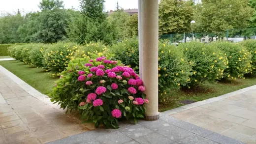 JARDINERIA DEL NORTE