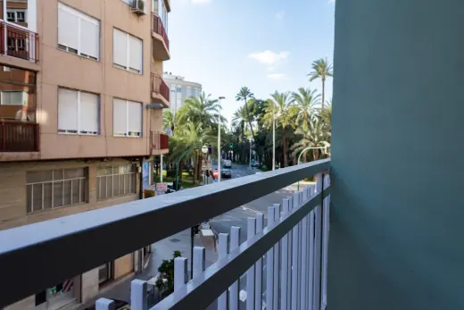 GreenhomeElche - La casa de los estudiantes