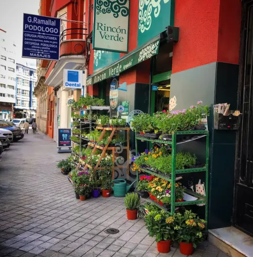 Rincon Verde Agrojardin