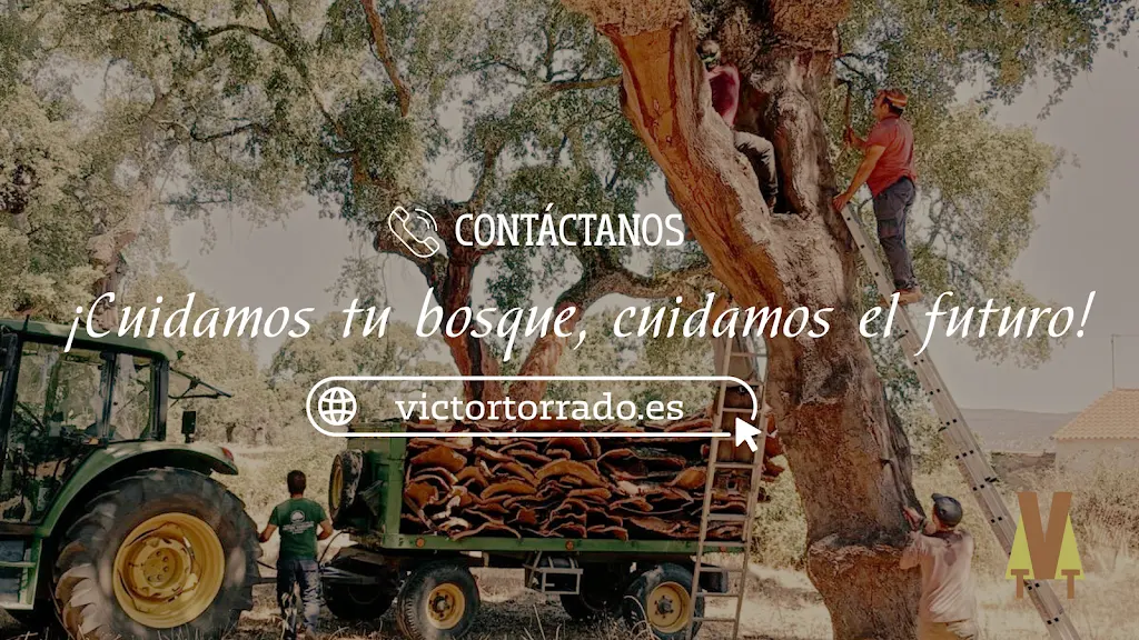 Servicios Forestales Victor Torrado
