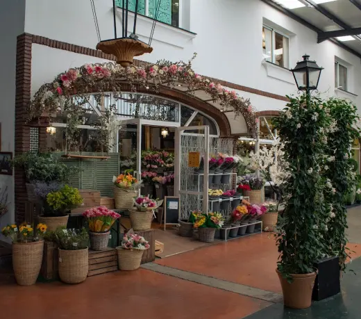 Centro de Jardineria Viveros Guzman