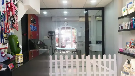 Aqui te pelo Peluqueria canina