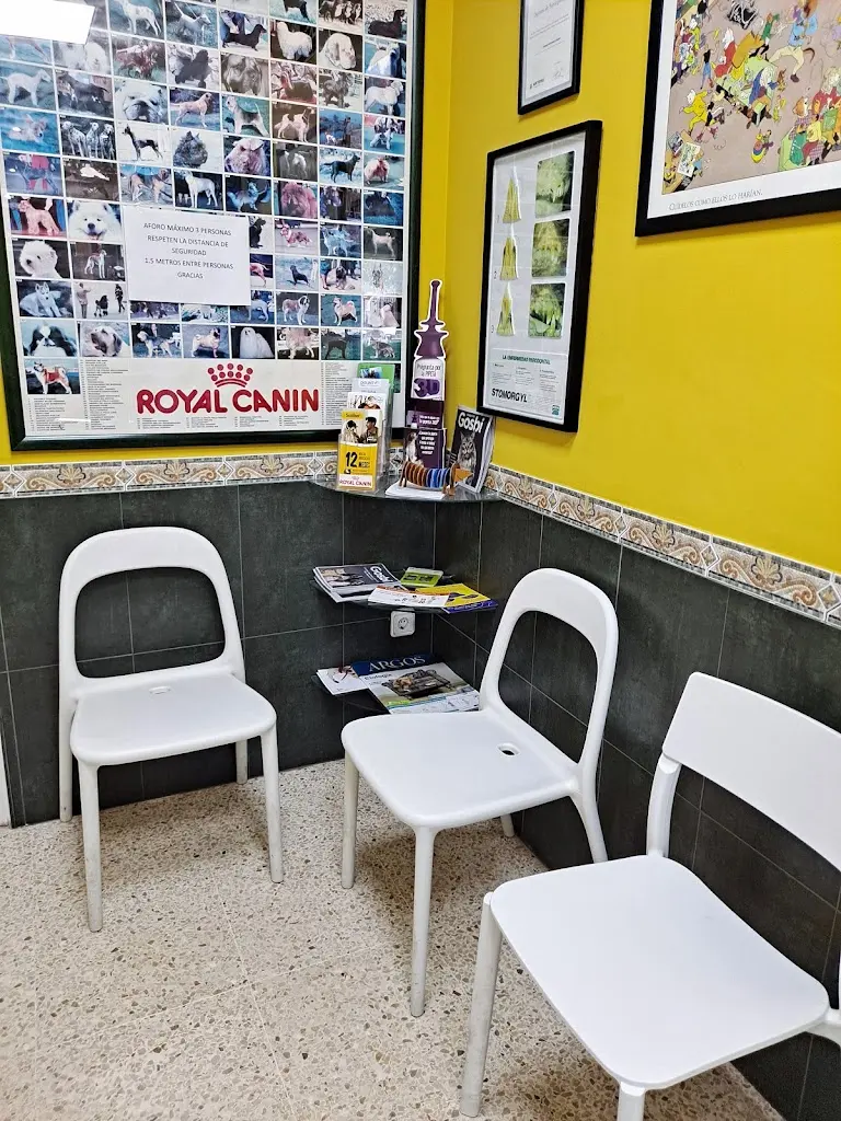 ISBILIA CENTRO VETERINARIO