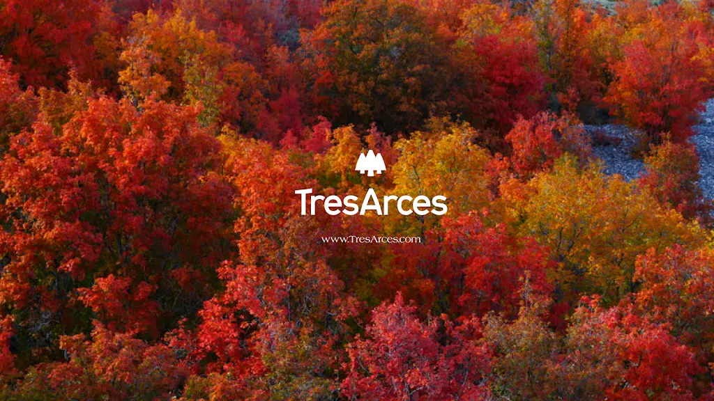 Tres Arces