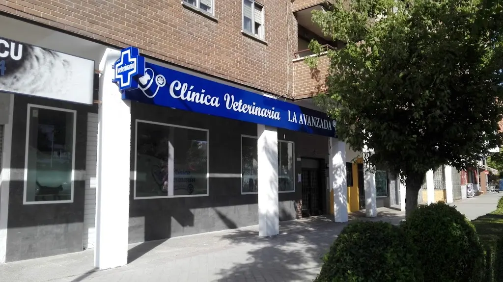 Clinica Veterinaria LA AVANZADA