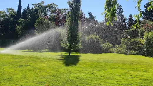 Limpiezas y Jardineria Siempre Verde