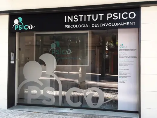 Instituto PSICO | Psicologia y desarrollo