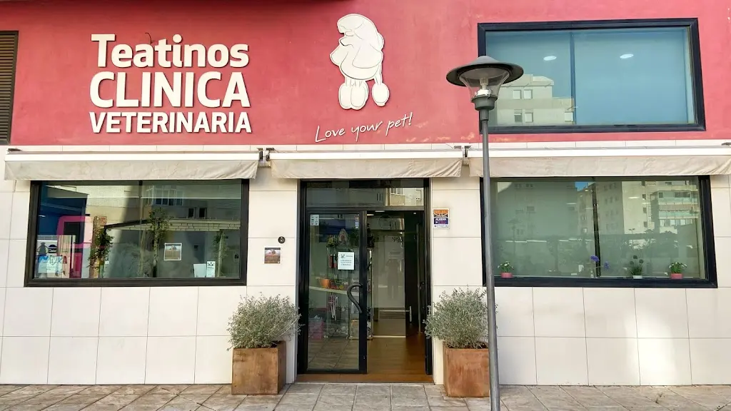 Veterinary Clinic Teatinos
