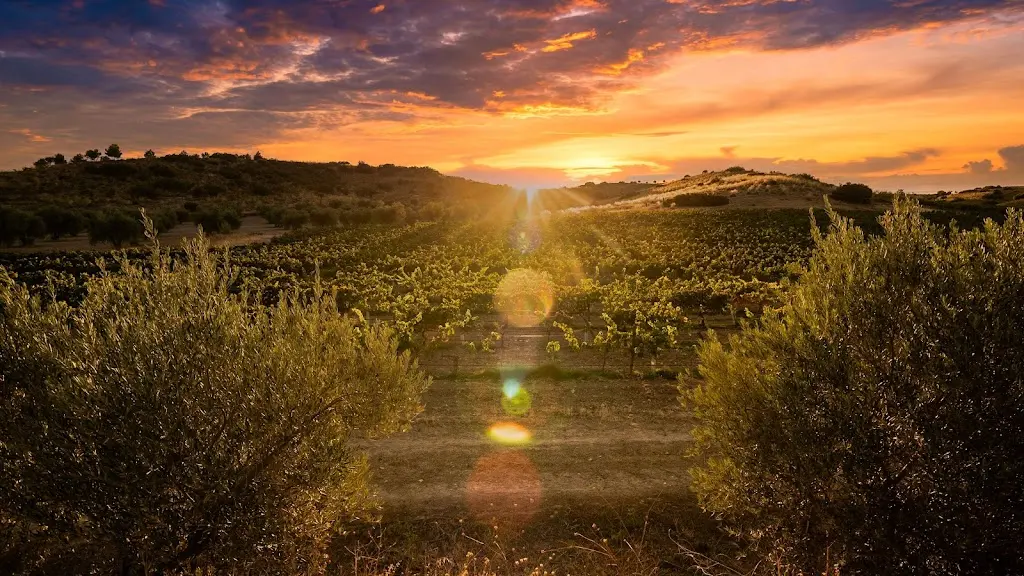 Bodega Valazul