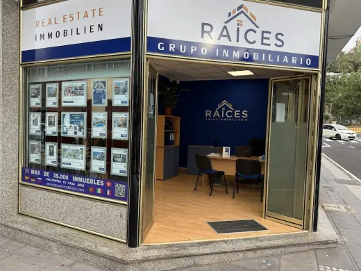 Raices Grupo Inmobiliario