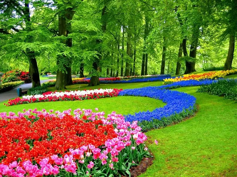 Servicios de Jardineria en Estepona-Jimenez Gardens