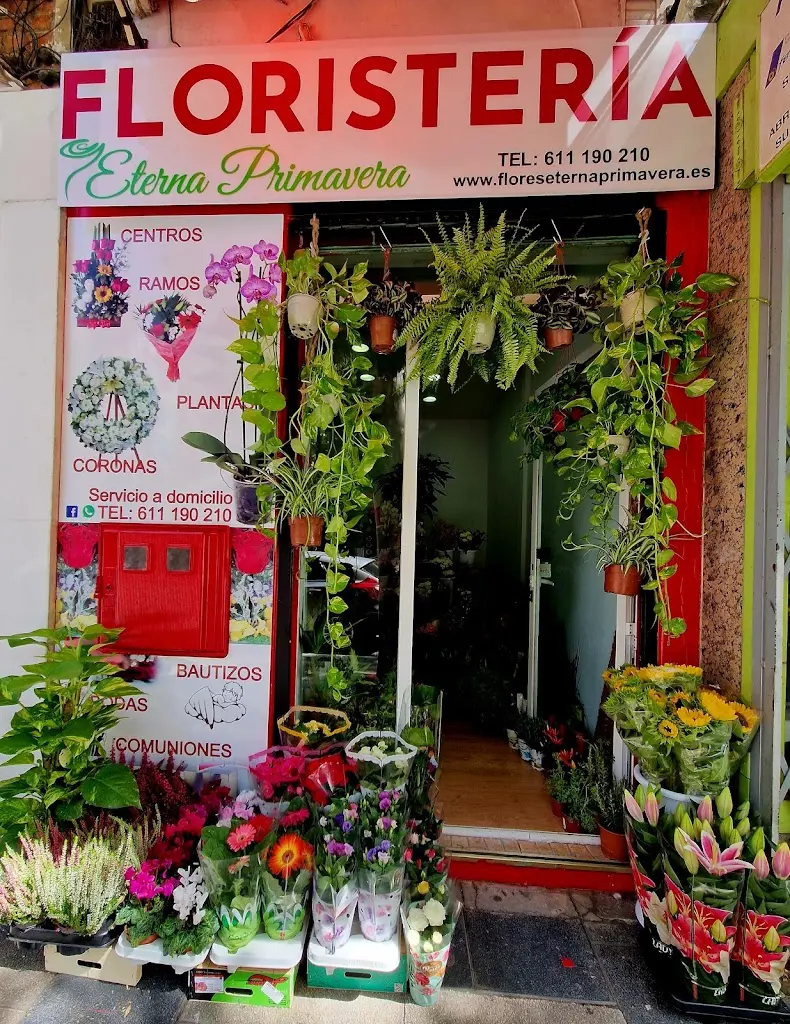 Floristeria Eterna Primavera