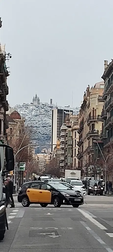 MON GAUDI