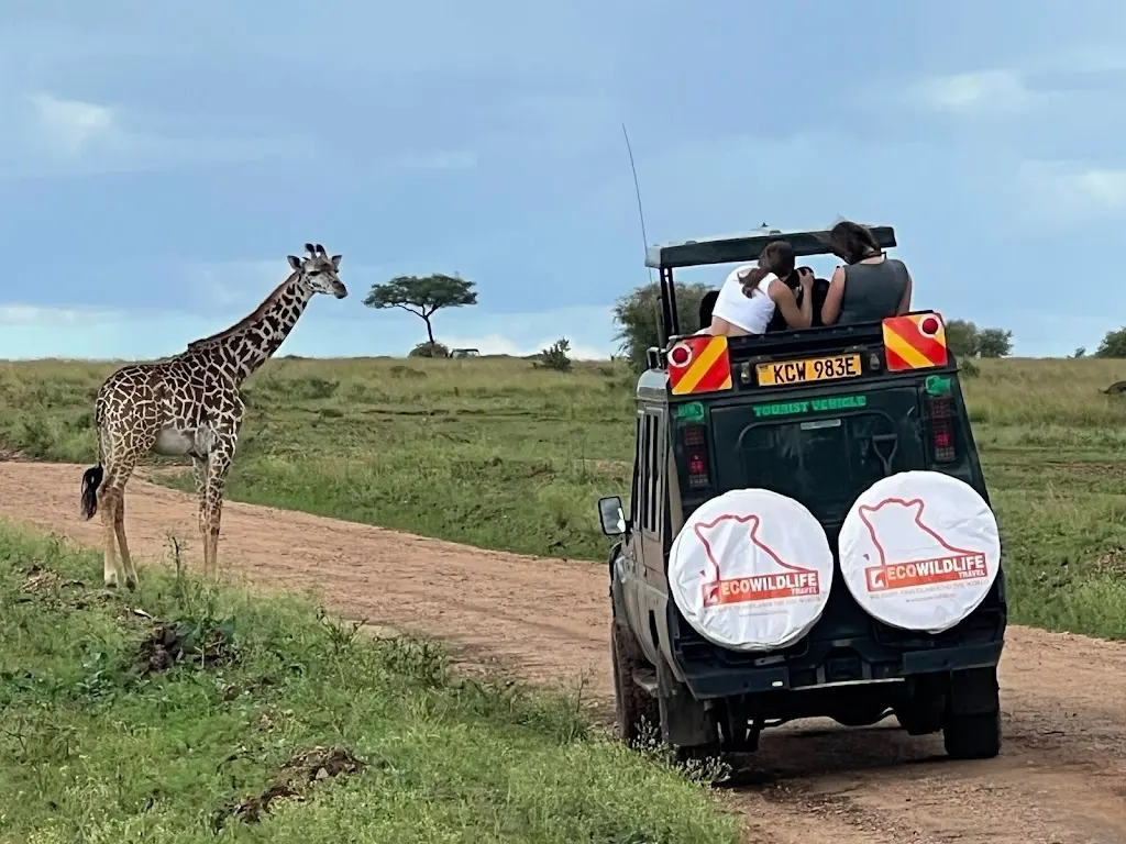 Ecowildlife Travel