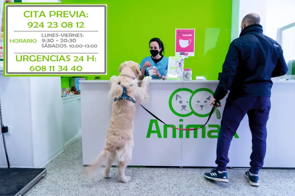 ANIMAX Veterinary Clinic