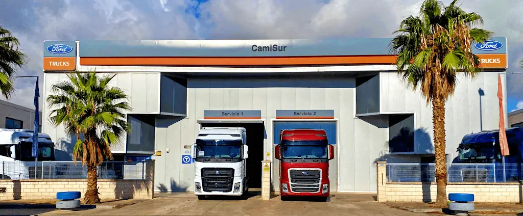 Camisur