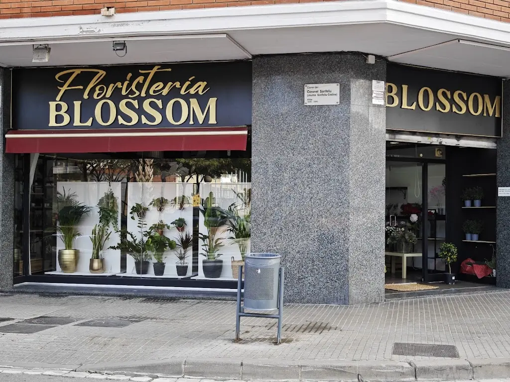 Floristeria Blossom