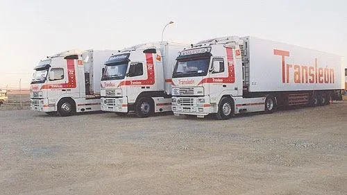 Transleon