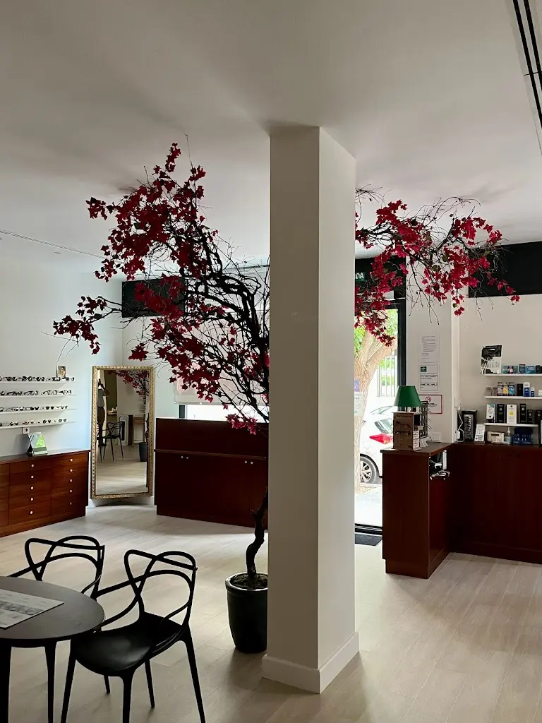 Optica Vidal Jerez