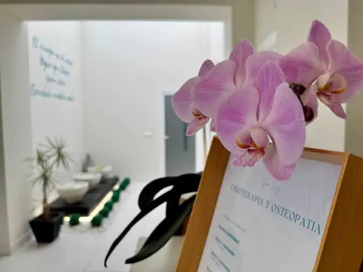 Clinica de Fisioterapia Sara Ruiz (Fisioterapia y Osteopatia en Almendralejo)