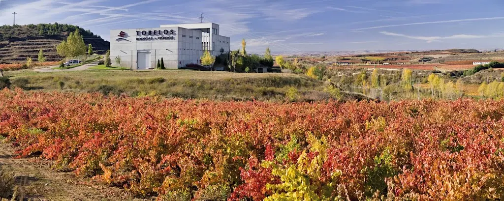 Tobelos Bodegas y Vinedos