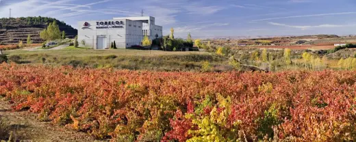 Tobelos Bodegas y Vinedos